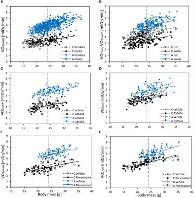 Is Experimental Evolution of an Increased Aerobic Exercise Performance in Bank Voles Mediated by <mark class="highlighted">Endocannabinoid Signaling</mark> Pathway?